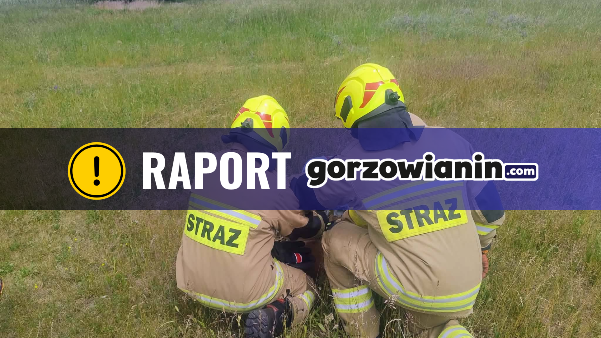 Dobowy raport strażaków: 8 interwencji w Gorzowie i powiecie